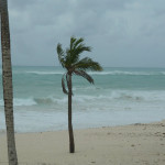 Hurrikan Igor @ Elbow Beach