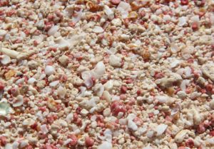 Bermuda Pink Sand