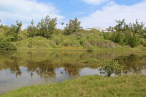 Spittal Pond Bermuda